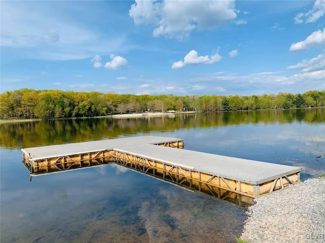 view of dock featuring a water view and a wooded view