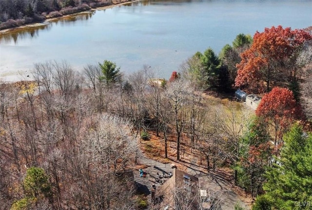 bird's eye view with a wooded view and a water view
