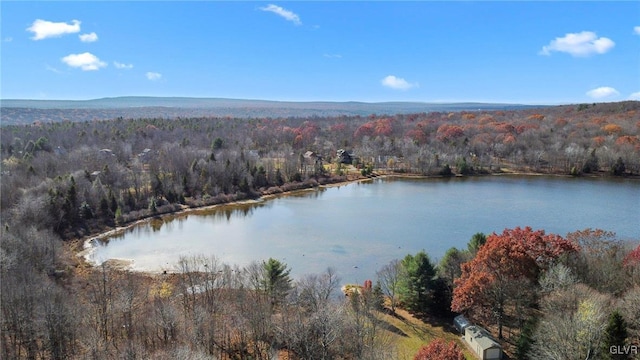 birds eye view of property with a water view and a view of trees