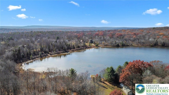 156 Poplar Pl, Tunkhannock Township, PA 18610 - aerial view with a water view and a forest view