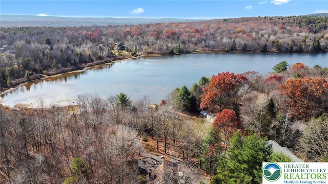 156 Poplar Pl, Tunkhannock Township, PA 18610 - aerial view featuring a water view and a wooded view