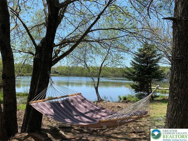 156 Poplar Pl, Tunkhannock Township, PA 18610 - exterior space with a water view
