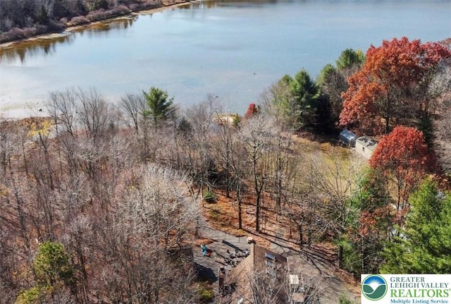 156 Poplar Pl, Tunkhannock Township, PA 18610 - drone / aerial view featuring a water view and a wooded view
