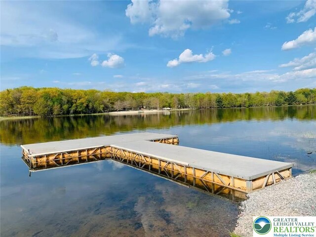 156 Poplar Pl, Tunkhannock Township, PA 18610 - view of dock with a view of trees and a water view