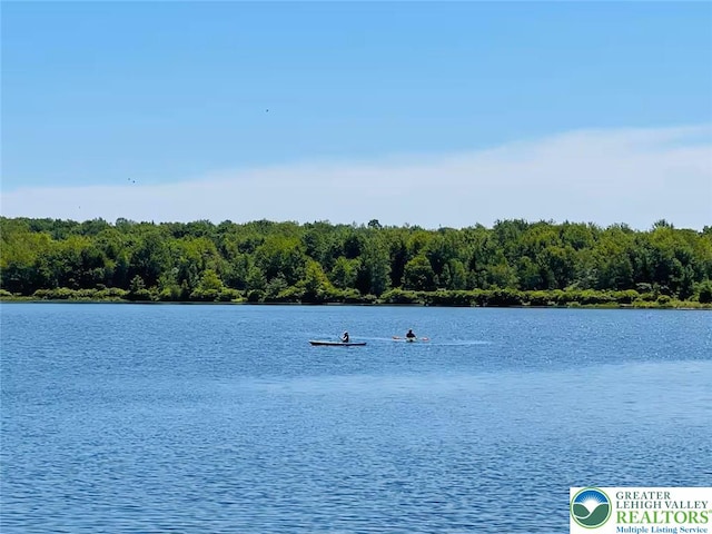 156 Poplar Pl, Tunkhannock Township, PA 18610 - property view of water