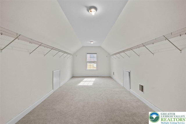 255 Rising Meadow Way E, Stroudsburg, PA 18302 - walk in closet featuring carpet floors and vaulted ceiling