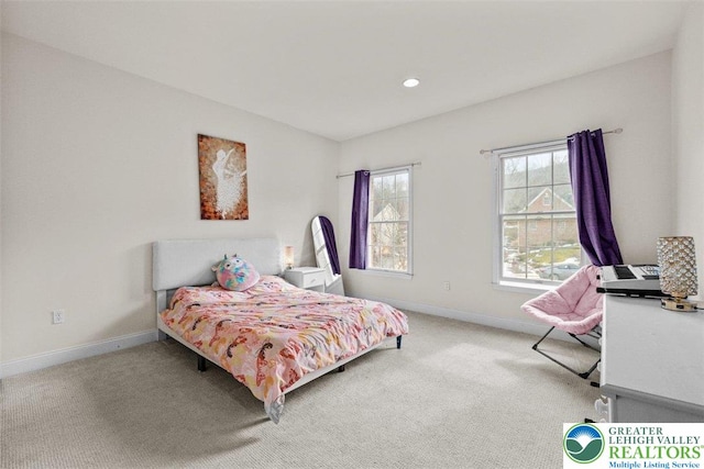 255 Rising Meadow Way E, Stroudsburg, PA 18302 - carpeted bedroom with baseboards and recessed lighting
