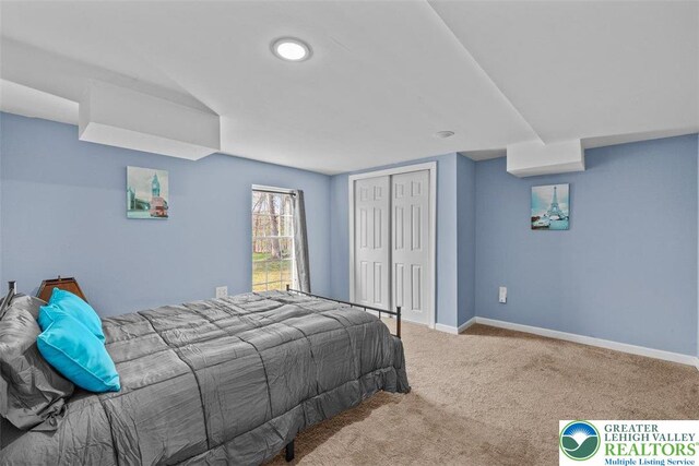 255 Rising Meadow Way E, Stroudsburg, PA 18302 - carpeted bedroom featuring a closet and baseboards