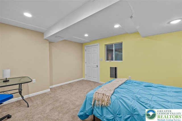 255 Rising Meadow Way E, Stroudsburg, PA 18302 - bedroom with carpet floors and recessed lighting