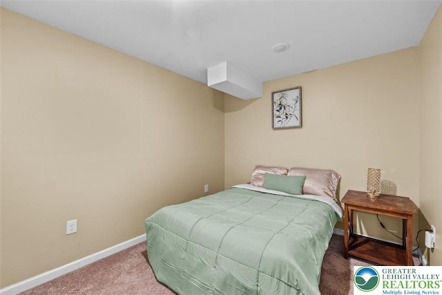 255 Rising Meadow Way E, Stroudsburg, PA 18302 - bedroom featuring carpet and baseboards