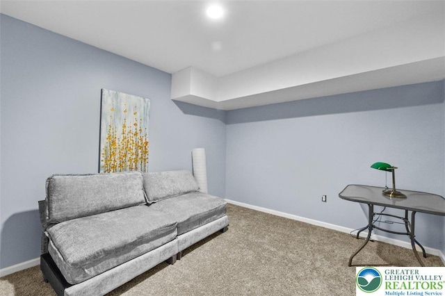 255 Rising Meadow Way E, Stroudsburg, PA 18302 - living area with baseboards and carpet flooring