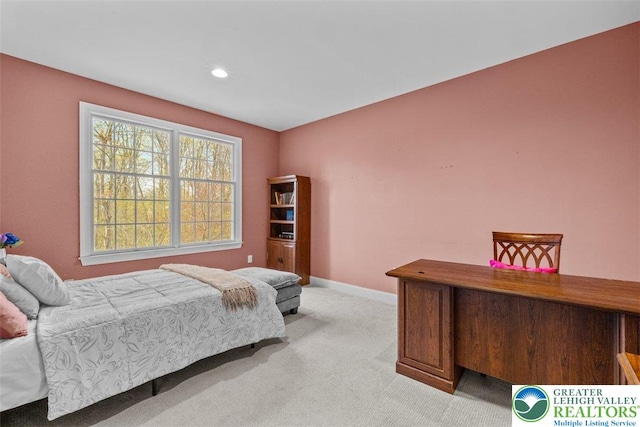 255 Rising Meadow Way E, Stroudsburg, PA 18302 - bedroom featuring light colored carpet and recessed lighting