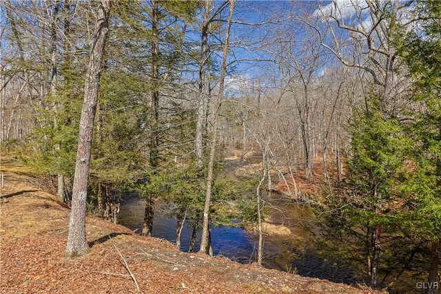 367 Saunders Dr, Lehman Twp, PA 18324 - property view of water featuring a forest view