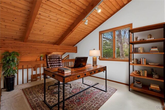 367 Saunders Dr, Lehman Twp, PA 18324 - office space featuring wooden ceiling, carpet, baseboards, track lighting, and vaulted ceiling with beams