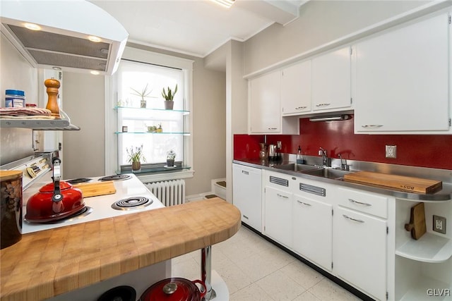 1527 W Turner St, Allentown City, PA 18102 - kitchen featuring a sink, white cabinetry, stainless steel countertops, radiator, and open shelves