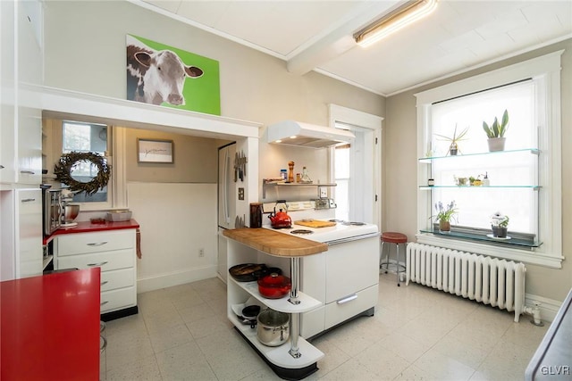 1527 W Turner St, Allentown City, PA 18102 - kitchen with radiator, open shelves, white electric stove, light flooring, and under cabinet range hood