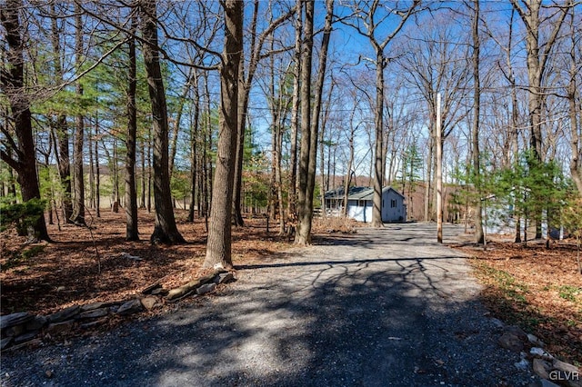 view of street featuring gravel driveway