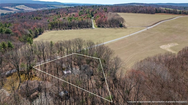 aerial view featuring a mountain view and a rural view