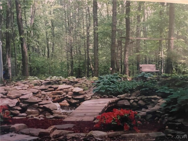 view of local wilderness with a forest view