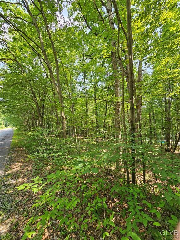 Dowbush Rd, Mahoning Twp, PA 18235 - photo 1