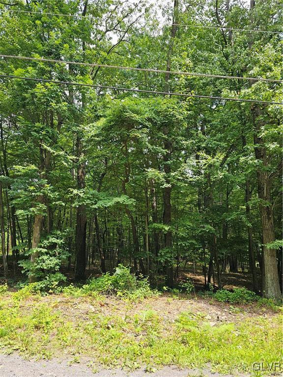 Dowbush Rd, Mahoning Twp, PA 18235 - photo 2
