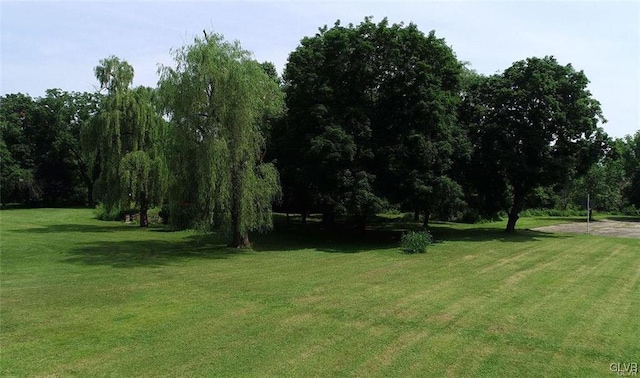 3305 Municipal Dr, Whitehall Twp, PA 18052 - photo 4