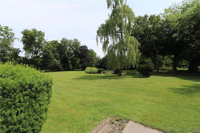 3305 Municipal Dr, Whitehall Twp, PA 18052 - photo 9