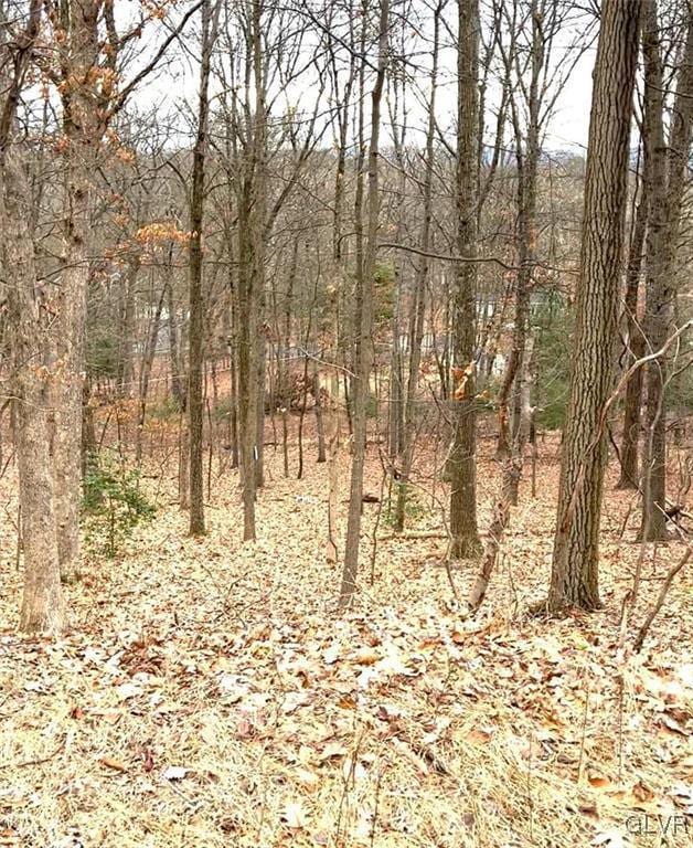 286 Estate Dr, Price Twp, PA 18302 - view of nature