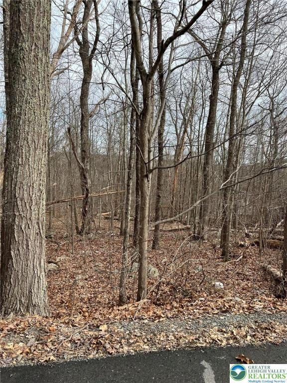 view of nature with a forest view