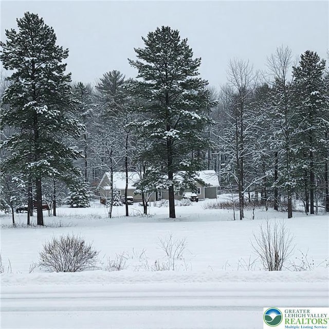 view of snowy yard