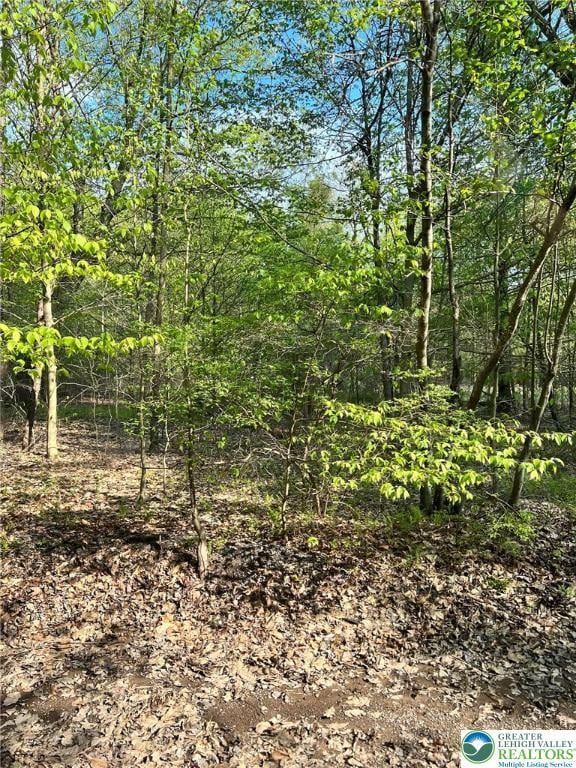 view of nature with a wooded view