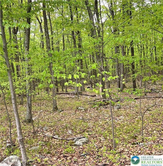 209 Cherry Ln, Tunkhannock Township, PA 18210 - view of local wilderness