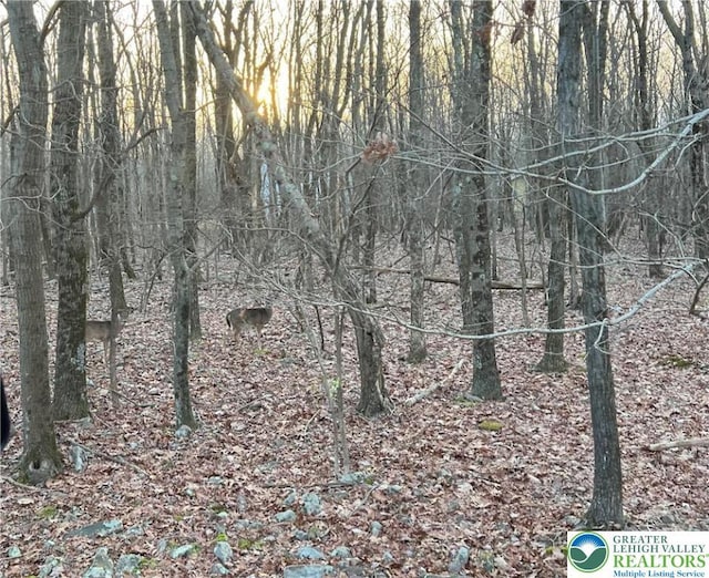 36 Occoquan Trl, Penn Forest Township, PA 18210 - view of landscape