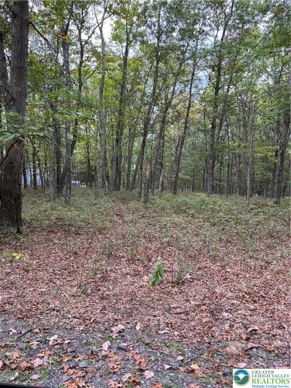 275 Forest Dr, Price Twp, PA 18325 - view of landscape featuring a forest view