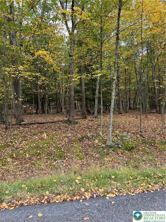 289 Forest Dr, Price Twp, PA 18325 - view of local wilderness featuring a view of trees