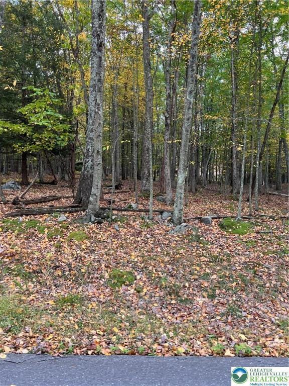 289 Forest Dr, Price Twp, PA 18325 - view of nature featuring a wooded view
