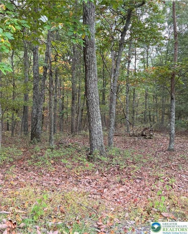 289 Forest Dr, Price Twp, PA 18325 - view of nature with a forest view