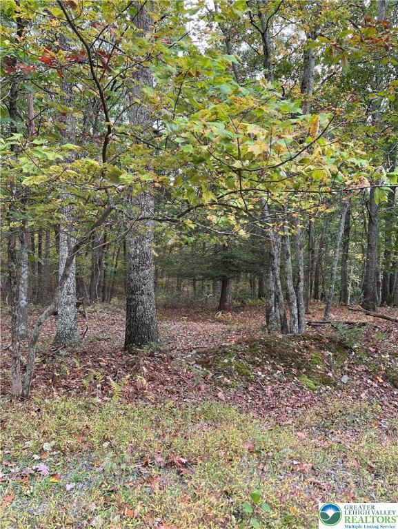 289 Forest Dr, Price Twp, PA 18325 - view of landscape with a forest view