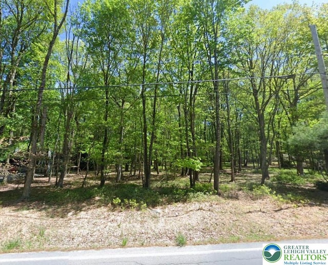 940 Oldstage Rd, Penn Forest Township, PA 18210 - view of nature