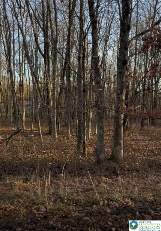 940 Oldstage Rd, Penn Forest Township, PA 18210 - view of local wilderness