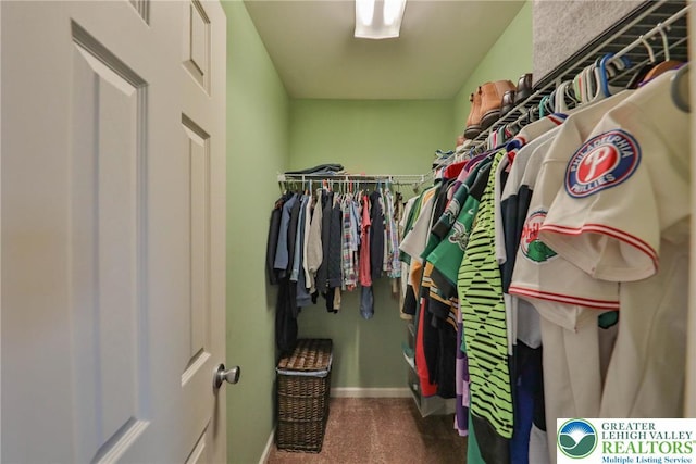 view of spacious closet