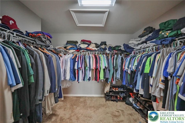 walk in closet featuring attic access and carpet flooring