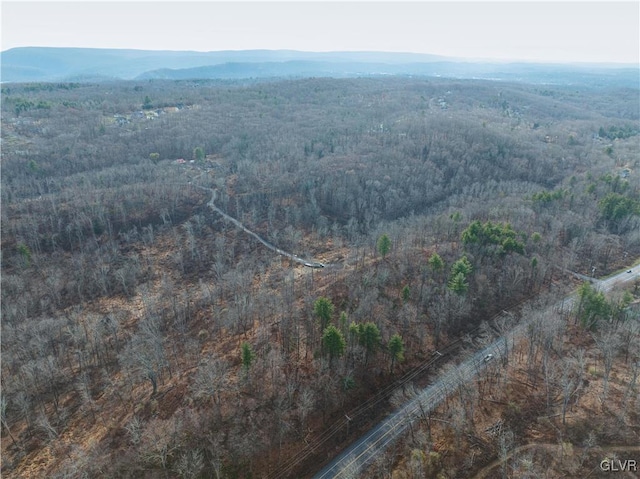 209 Spring House Ln, Middle Smithfield Twp, PA 18301 - aerial view with a wooded view and a mountain view