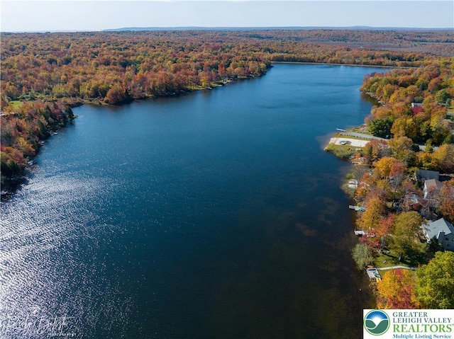 5627 Pembrook Dr, Coolbaugh Twp, PA 18466 - bird's eye view of a forest and a large body of water