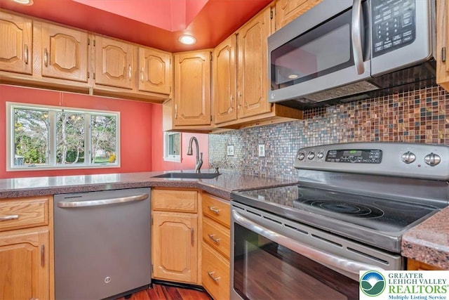 kitchen with stainless steel appliances, tasteful backsplash, and a sink
