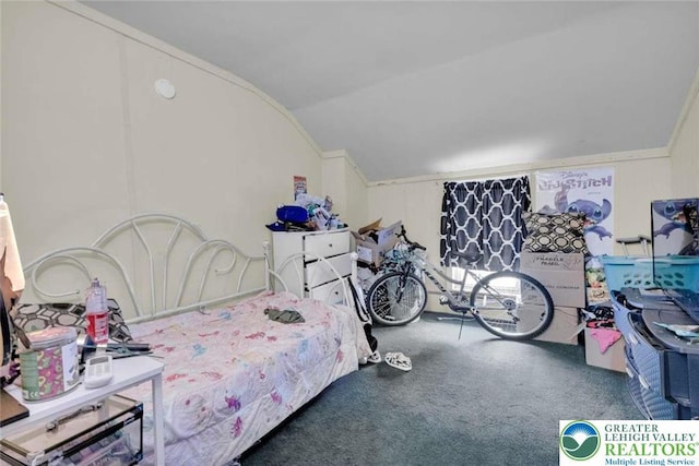 231 W Abbott St, Lansford Borough, PA 18232 - carpeted bedroom featuring lofted ceiling