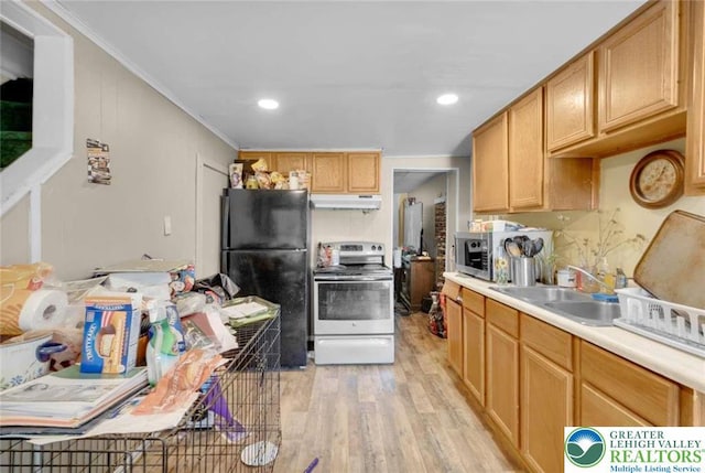 231 W Abbott St, Lansford Borough, PA 18232 - kitchen featuring light wood-type flooring, appliances with stainless steel finishes, under cabinet range hood, light countertops, and a sink