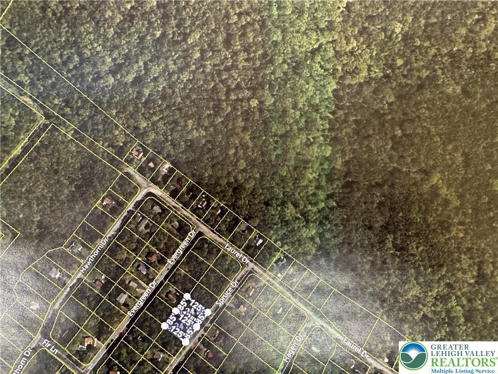 Yellowwood Dr, Lackawanna, PA 18424 - map
