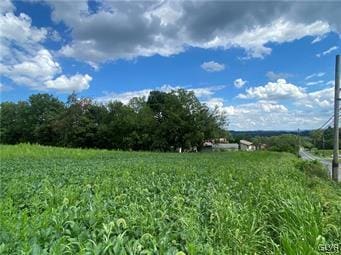 436 Willow Rd Lot 15, Lehigh Township, PA 18088 - photo 2