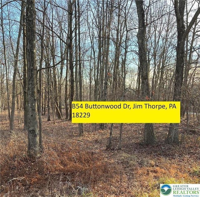 54 Buttonwood Dr, Penn Forest Township, PA 18229 - view of home's community